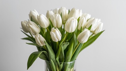Fototapeta premium White Tulips Arranged in a Clear Vase on a Plain Background During Daytime