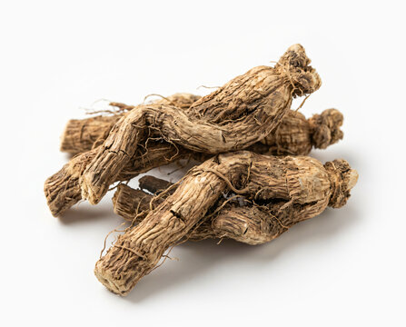 Dry Punarnava Root (Boerhavia diffusa) Isolated on White Background