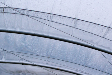 The structure of plastic tunnels (greenhouses) with metal pipes and wires that hold the polyethylene. Wet transparent polyethylene film with droplets of water after rain.