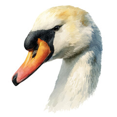 Watercolor-style vector illustration of Swan Head, isolated on a clean white background.