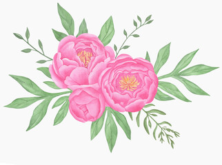 Hand painted floral elements set. Watercolor botanical illustration of peony and leaves.