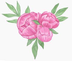 Hand painted floral elements set. Watercolor botanical illustration of peony and leaves.