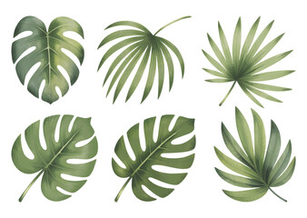 Botanical tropical leaves with soft hand painted. Tropical leaf collection in natural watercolor textures.