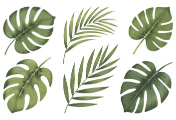 Botanical tropical leaves with soft hand painted. Tropical leaf collection in natural watercolor textures.