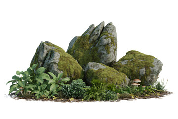Mossy rocks in lush greenery with soft natural lighting on textured stone for environmental