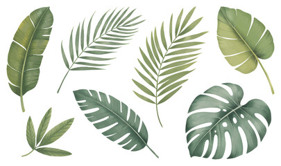 Botanical tropical leaves with soft hand painted. Tropical leaf collection in natural watercolor textures.