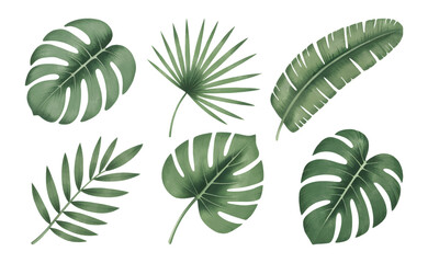 Botanical tropical leaves with soft hand painted. Tropical leaf collection in natural watercolor textures.