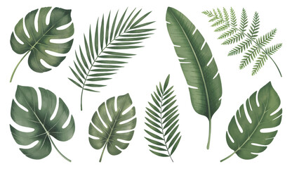 Botanical tropical leaves with soft hand painted. Tropical leaf collection in natural watercolor textures.