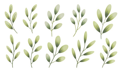 Minimal botanical sprigs painted in soft green tones.