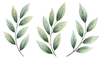 Minimal botanical sprigs painted in soft green tones.
