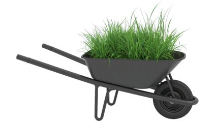 Green Plants in a Wheelbarrow on a Bright Surface During Daylight Hours
