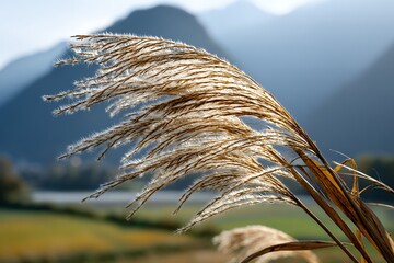 Golden wheat stalks swaying in mountain breeze under clear sky
