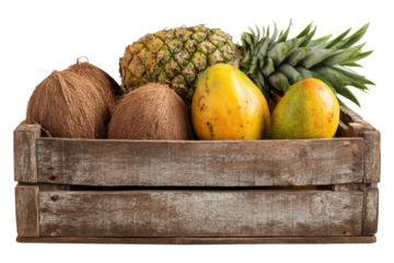 Crate of coconuts, mangoes and pineapple positioned for food or agriculture photography on transparent background