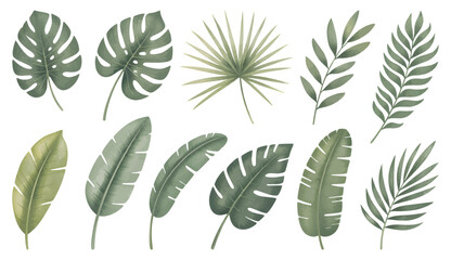 Set of tropical floral watecolor. Tropical green leaves on white background. Watercolor set of vector tropical leaves.