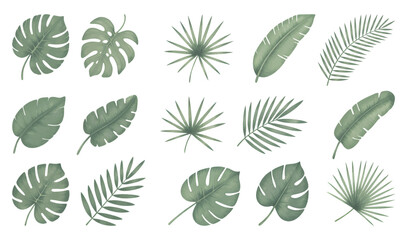 Set of tropical floral watecolor. Tropical green leaves on white background. Watercolor set of vector tropical leaves.