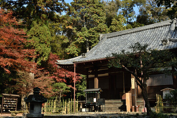 秋の安祥寺　観音堂ともみじ(京都市山科区)