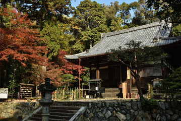 秋の安祥寺　観音堂ともみじ(京都市山科区)