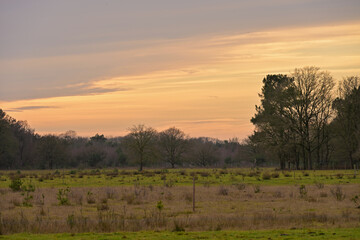 Obraz premium Golden Winter Sunset Over the Wild Meadows and Forest Edge of De Maashorst in Late December