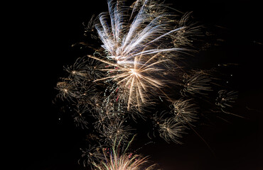 Vivid fireworks burst elevate romantic moments beneath starry night atmosphere