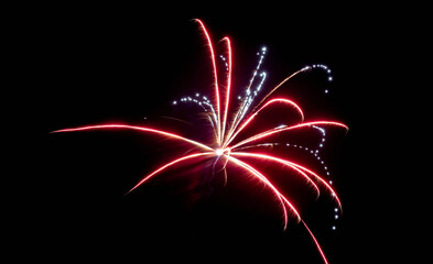 Colorful explosions light up sky, Vivid fireworks burst resemble blooming flowers