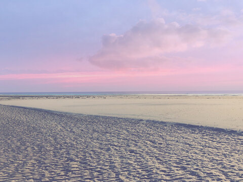 Pink sunset over a sandy beach in summer, Fanoe, Jutland, Denmark
