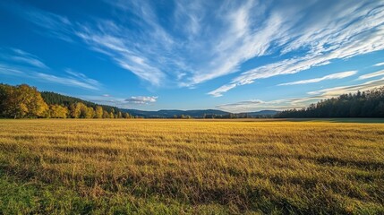 field with beautiful blue sky above generative ai