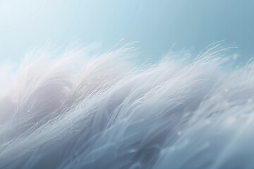 Soft white feathers against blue background light fluffy