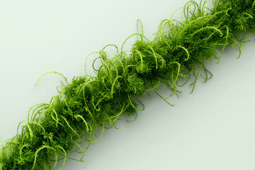 Vibrant green moss on a light gray background