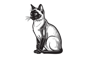 Siamese Cat Sitting in Vintage Woodcut Style Illustration © Sadek