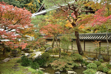 秋の永観堂禅林寺　釈迦堂南庭と御影堂(京都市左京区)