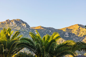 Beautiful view of palm trees with rocky mountains and clear blue sky in resort landscape. Kos. Greece.