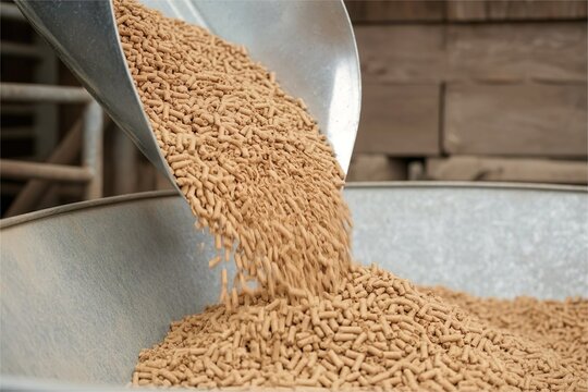 scoop pour brown pig feed pillet galvanized trough. Animal feed production