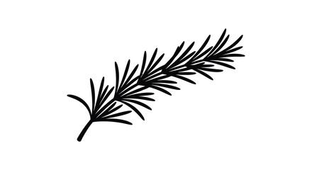 A simple black and white illustration depicts a single sprig of rosemary showcasing its needle like leaves © Kuntol02