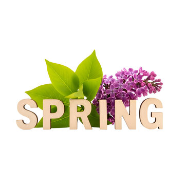 Spring season word with lilac flowers and green leaves on transparent background