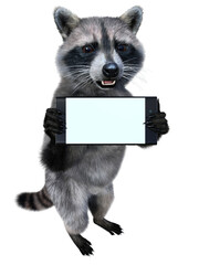 The common raccoon stands on its hind legs and shows us his smartphone with a white copy space screen. 3d rendering on transparent background, no AI used © imaltsev