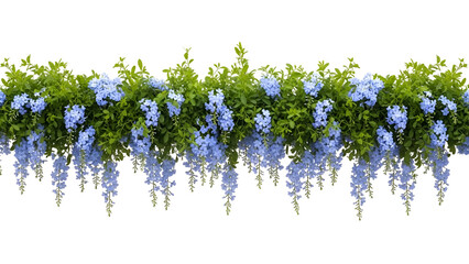 Blue flowers hanging from lush green bush