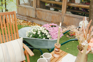 Fototapeta premium Garden scene with wheelbarrow of mums and rustic decor details