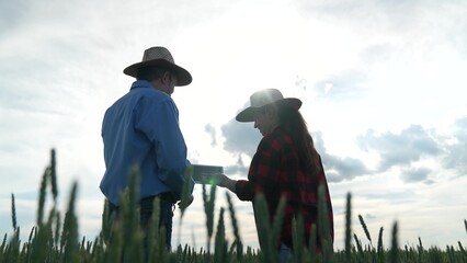 Farmers Discussing Future Plans, Rural People in Wheat Field, Agriculture Consultation Outdoors,...