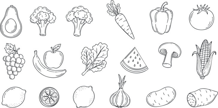 Hand-drawn vector illustration of various fruits and vegetables in an outline style for healthy eating and culinary design projects