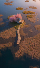 AI generator images of small house situated on a tiny island in the middle of a wetland or swamp filled with blooming cherry blossom trees. Cherry Blossom Tree House Surrounded By Lake