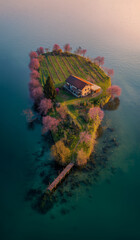 AI generator images of small house situated on a tiny island in the middle of a wetland or swamp filled with blooming cherry blossom trees. Cherry Blossom Tree House Surrounded By Lake