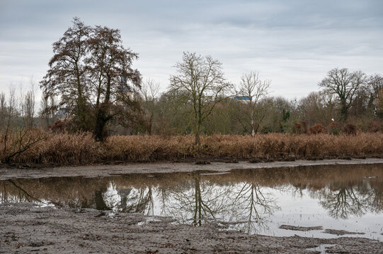 Reflections of winter trees in the ponds of Abdij van Park, Kessel-Lo, Leuven