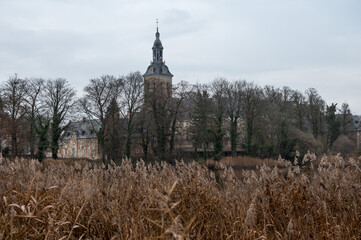 Golden reeds in foreground with tower of Abdij van Park, Kessel-Lo, Leuven