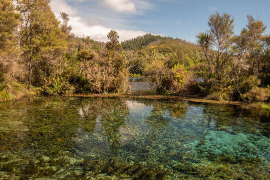 Te Waikoropupū Springs in the Tasman District of New Zealand are the largest springs (by water volume) in the Southern Hemisphere. They also have some of the clearest water.