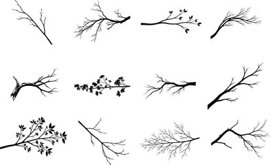 Obraz premium Vector silhouette of bare branches and twigs in black