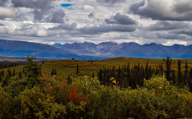 Mountains behind colorful vegetation on the Denali Highway