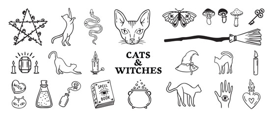 Cats and witches set spellbooks and cauldrons, candles and cat head, broom and rose, Halloween hand drawn monochrome line art, outline contour