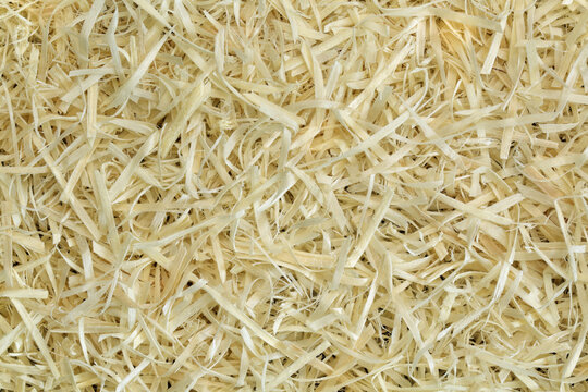 Yellow wood chips