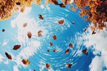Autumn leaves floating on rippling water, reflecting a blue sky and trees, creating a serene and contemplative scene of nature's beauty.