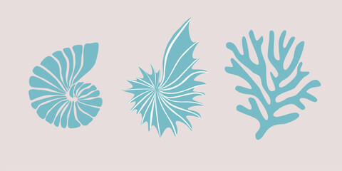 vector illustration of a shells, sea vibe